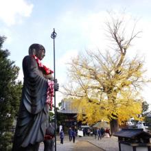 日本四國88站朝聖之旅