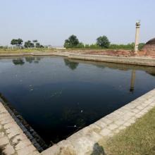 印度十天朝聖團＠2012